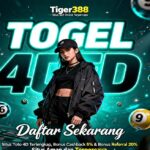 Tiger388 Slot BSI Online Situs Terpercaya Banyak Pemain